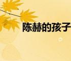 陈赫的孩子长什么样（陈赫的孩子）