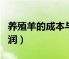 养殖羊的成本与利润分摊（养殖羊的成本与利润）