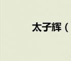 太子辉（说一说太子辉的简介）
