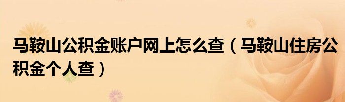 马鞍山公积金账户网上怎么查（马鞍山住房公积金个人查）