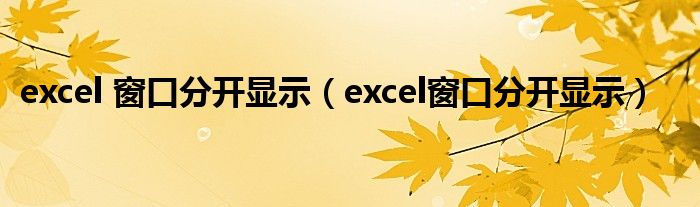 excel 窗口分开显示（excel窗口分开显示）