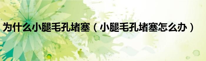 为什么小腿毛孔堵塞（小腿毛孔堵塞怎么办）
