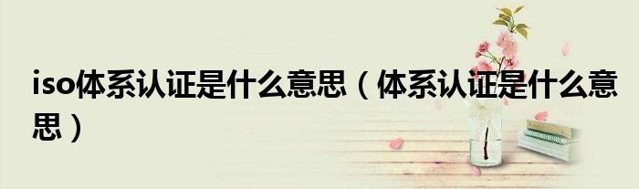 iso体系认证是什么意思（体系认证是什么意思）