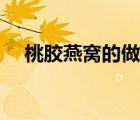 桃胶燕窝的做法大全（桃胶燕窝的做法）