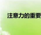 注意力的重要性名言（注意力的重要性）
