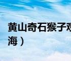 黄山奇石猴子观海好像什么（黄山奇石猴子观海）