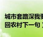 城市套路深我要回农村动漫（城市套路深我要回农村下一句）