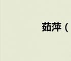 茹萍（说一说茹萍的简介）