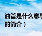 油管是什么意思啊（说一说油管是什么意思啊的简介）