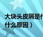 大块头皮屑是什么原因造成的（头皮屑很大块什么原因）