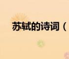 苏轼的诗词（说一说苏轼的诗词的简介）