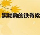 黑黝黝的铁脊梁是哪部电视剧插曲（黑黝黝）