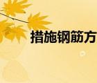 措施钢筋方案（措施钢筋包括哪些）