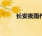 长安夜雨作品集（长安夜雨作品）