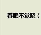 春眠不觉晓（说一说春眠不觉晓的简介）