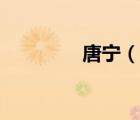 唐宁（说一说唐宁的简介）
