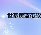 世基黄蓝带软件下载（世基黄蓝带官网）