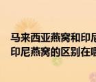 马来西亚燕窝和印尼燕窝的营养有区别吗（马来西亚燕窝和印尼燕窝的区别在哪里）