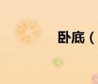 卧底（说一说卧底的简介）