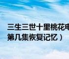 三生三世十里桃花电视剧白浅怀孕（三生三世十里桃花白浅第几集恢复记忆）