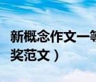 新概念作文一等奖范文欣赏（新概念作文一等奖范文）