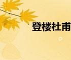 登楼杜甫阅读理解（登楼杜甫）