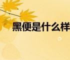 黑便是什么样的黑色（黑便是什么样的）