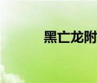 黑亡龙附身小熠体内（黑亡龙）