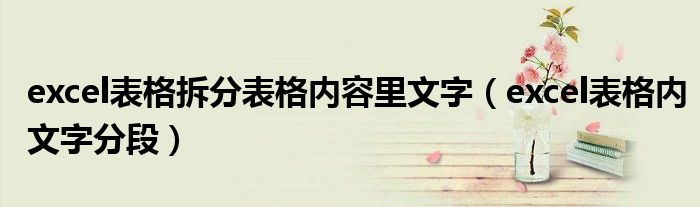 excel表格拆分表格内容里文字（excel表格内文字分段）