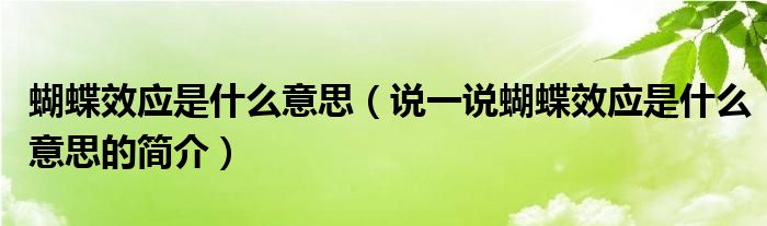 蝴蝶效应是什么意思（说一说蝴蝶效应是什么意思的简介）