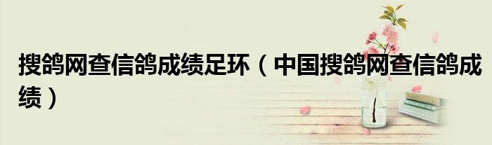 搜鸽网查信鸽成绩足环（中国搜鸽网查信鸽成绩）