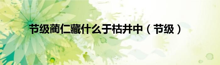 节级蔺仁藏什么于枯井中（节级）