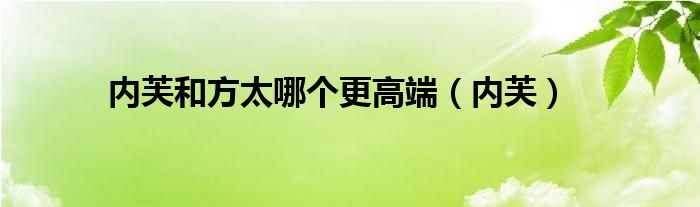 内芙和方太哪个更高端（内芙）