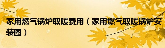 家用燃气锅炉取暖费用（家用燃气取暖锅炉安装图）