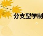 分支型学制名词解释（分支型学制）