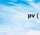 pv（说一说pv的简介）