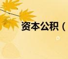 资本公积（说一说资本公积的简介）