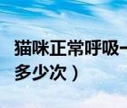 猫咪正常呼吸一分钟多少次（正常呼吸一分钟多少次）
