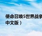使命召唤5世界战争修改器风灵月影（使命召唤5 世界战争中文版）