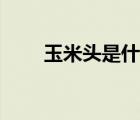 玉米头是什么发型（玉米头是什么）