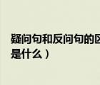 疑问句和反问句的区别是什么英语（疑问句和反问句的区别是什么）