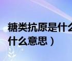 糖类抗原是什么意思怎么看出来（糖类抗原是什么意思）