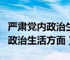 严肃党内政治生活方面存在问题（在严肃党内政治生活方面）