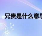 兄贵是什么意思日语污（兄贵是什么意思）