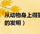 从动物身上得到的发明创造（从动物身上得到的发明）
