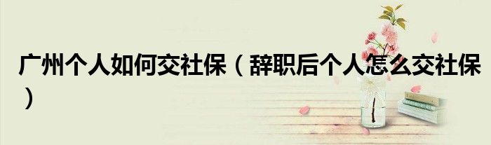 广州个人如何交社保（辞职后个人怎么交社保）