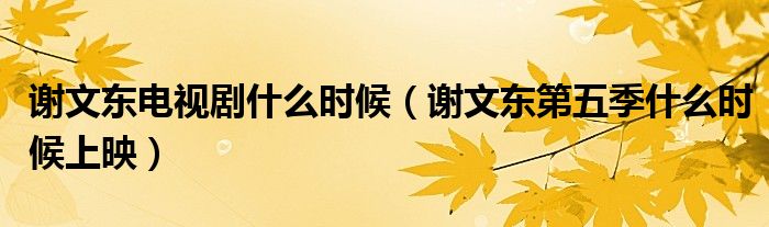 谢文东电视剧什么时候（谢文东第五季什么时候上映）