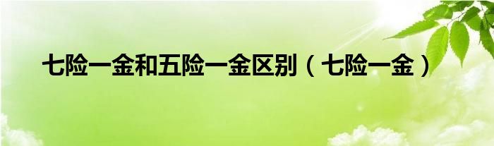 七险一金和五险一金区别（七险一金）