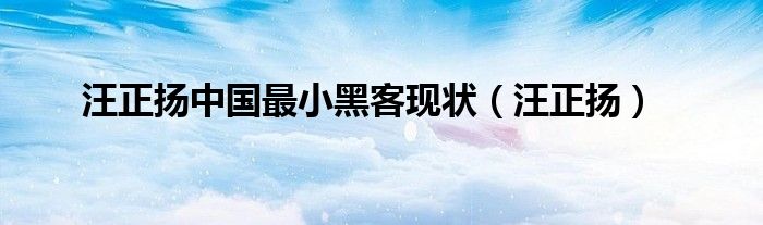 汪正扬中国最小黑客现状（汪正扬）