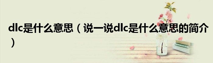 dlc是什么意思（说一说dlc是什么意思的简介）